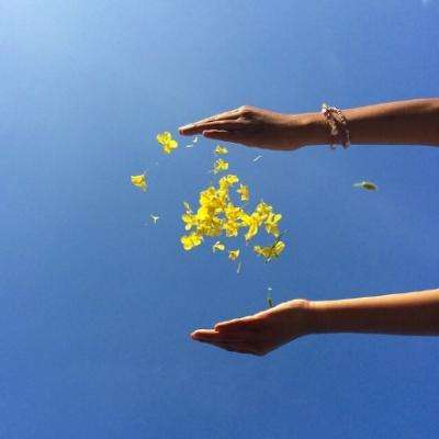 金年会娱乐app官方网站