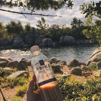 金年会娱乐app官方网站